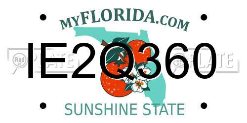 IE2Q360 Florida License Plate