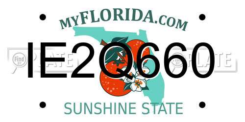 IE2Q660 Florida License Plate