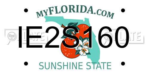 IE2S160 Florida License Plate