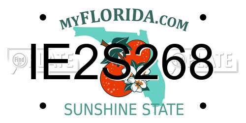 IE2S268 Florida License Plate