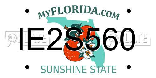 IE2S560 Florida License Plate