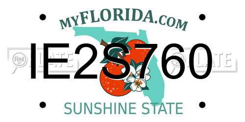IE2S760 Florida License Plate