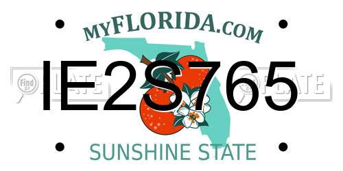 IE2S765 Florida License Plate