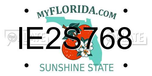 IE2S768 Florida License Plate