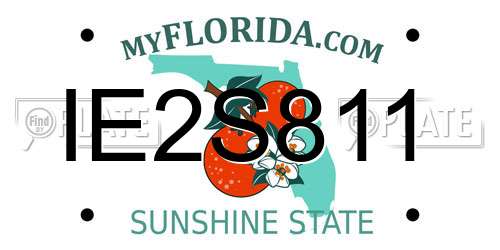 IE2S811 Florida License Plate