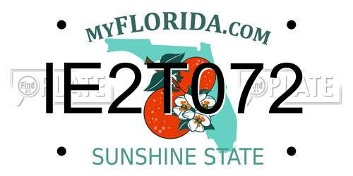 IE2T072 Florida License Plate