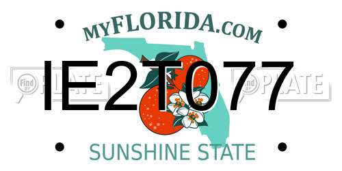 IE2T077 Florida License Plate