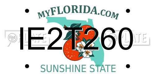IE2T260 Florida License Plate