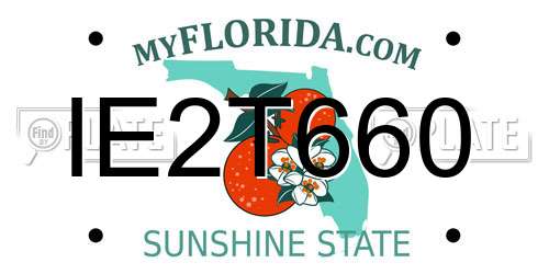 IE2T660 Florida License Plate