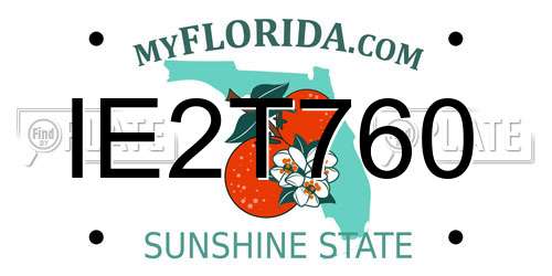 IE2T760 Florida License Plate