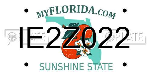 IE2Z022 Florida License Plate