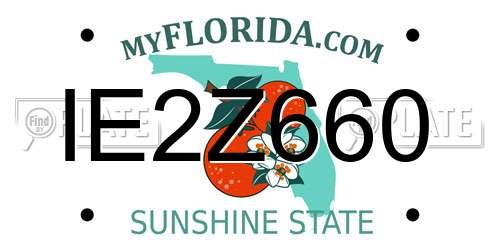 IE2Z660 Florida License Plate