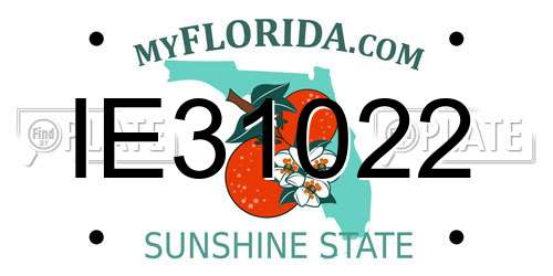 IE31022 Florida License Plate