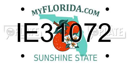 IE31072 Florida License Plate