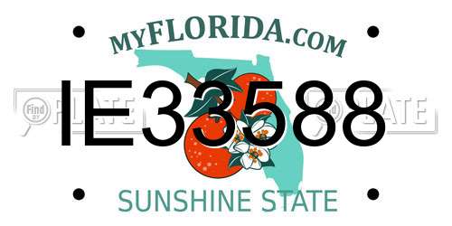 IE33588 Florida License Plate