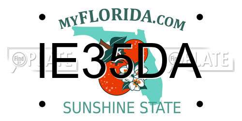 IE35DA Florida License Plate