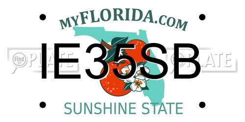 IE35SB Florida License Plate