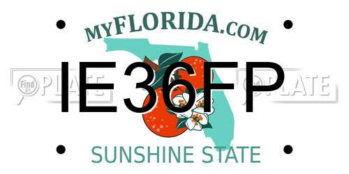 IE36FP Florida License Plate