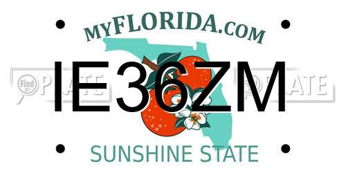 IE36ZM Florida License Plate