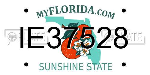 IE37528 Florida License Plate