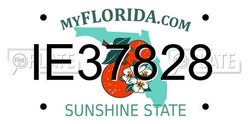 IE37828 Florida License Plate