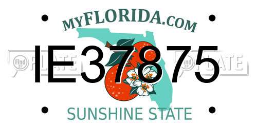 IE37875 Florida License Plate