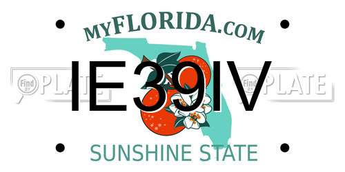 IE39IV Florida License Plate