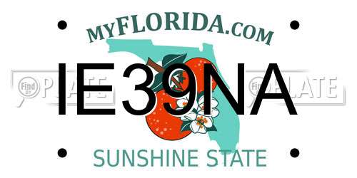 IE39NA Florida License Plate
