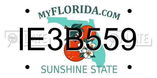 IE3B559 Florida License Plate