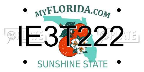 IE3T222 Florida License Plate