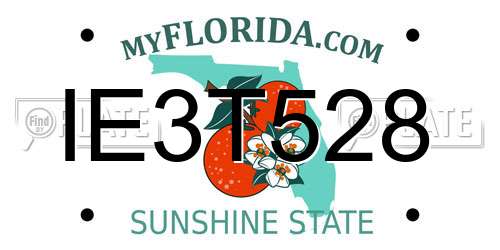 IE3T528 Florida License Plate
