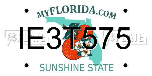 IE3T575 Florida License Plate