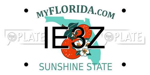 IE3Z Florida License Plate
