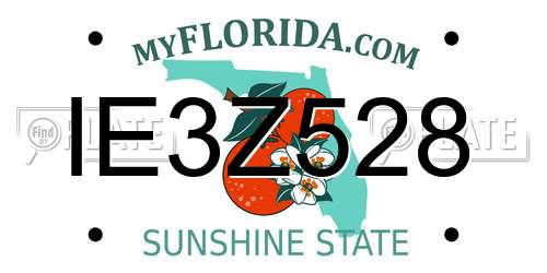 IE3Z528 Florida License Plate