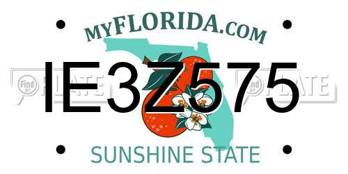 IE3Z575 Florida License Plate