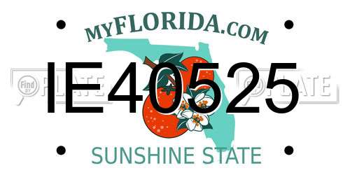 IE40525 Florida License Plate