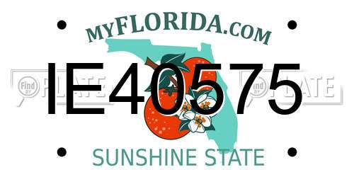IE40575 Florida License Plate