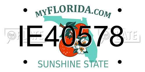 IE40578 Florida License Plate