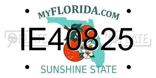 IE40825 Florida License Plate