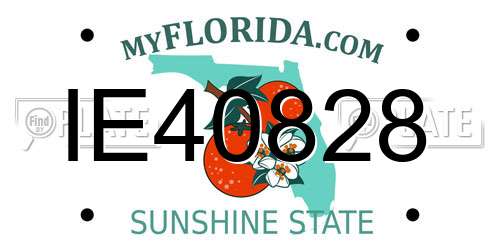IE40828 Florida License Plate