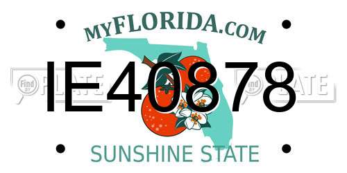 IE40878 Florida License Plate