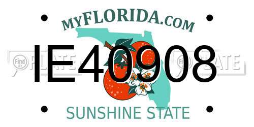 IE40908 Florida License Plate