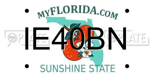 IE40BN Florida License Plate
