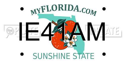 IE41AM Florida License Plate
