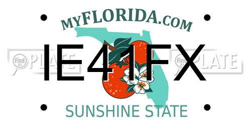 IE41FX Florida License Plate