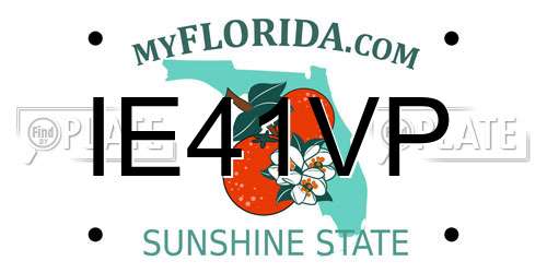 IE41VP Florida License Plate