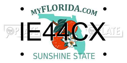 IE44CX Florida License Plate