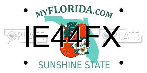 IE44FX Florida License Plate
