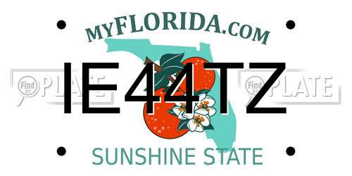 IE44TZ Florida License Plate