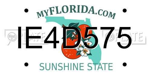 IE4D575 Florida License Plate